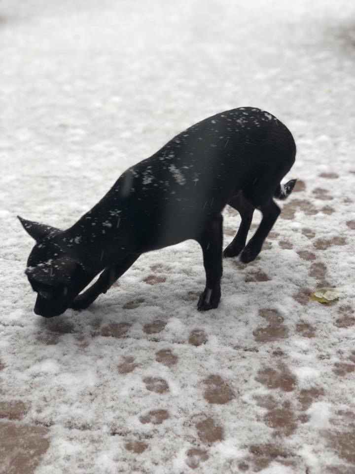 Snow, 10/14